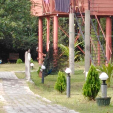 Sigiri Royal Point Tree House Hotel Sigiriya Exterior photo