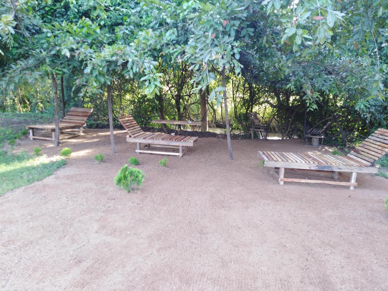 Sigiri Royal Point Tree House Hotel Sigiriya Exterior photo